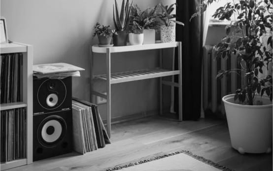 ZX9 Speaker gallery image 2